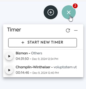 Bizman Timer Tool